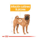 Royal Canin Dermacomfort Medium pienso para perros, , large image number null